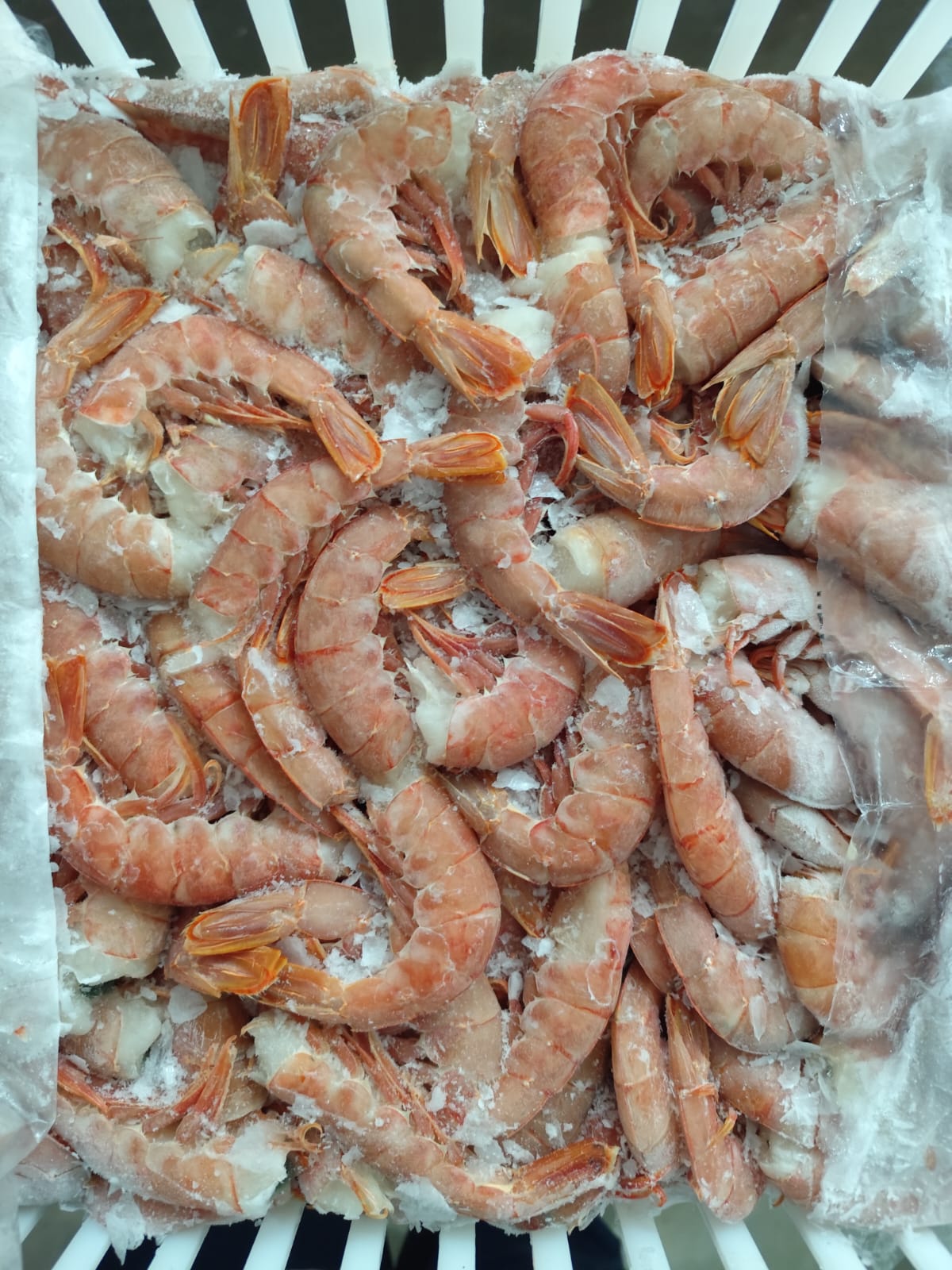 Langostinos - detalle